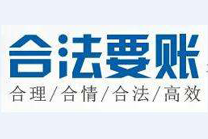 连平追数公司